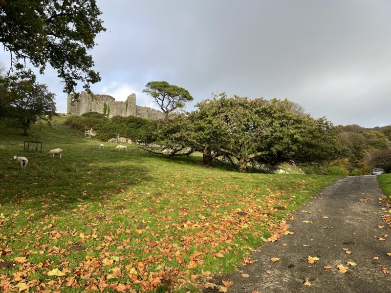 Penrice Castle